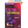 BrainChip for Microbiology (BrainChip Series)