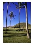 Anakena Beach, Easter Island, Chile Photographic Poster Print, 18x24