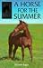 A Horse for the Summer (Usborne Sandy Lane Stables)