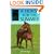 A Horse for the Summer (Sandy Lane Stables)