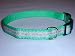 Sandia Pet Products 5/8 Climbing Rose Pattern on Teal Small Dog Collar