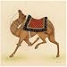 Camel from India I Animals Giclee Poster Print by Ram Babu, 16x16