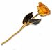 24kt Gold Trimmed Semi Opened Real Yellow Rose