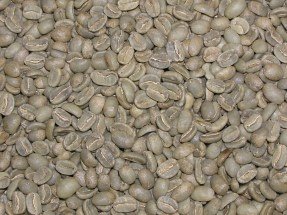 Papau New Guinea Green Coffee Beans - 5lbs