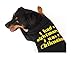   - Dog Shirt - 