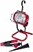 Tools & Hardware : Designers Edge L-878-4N1-OVAL Pro-Series One-Light 250-Watt Halogen 4-N-1 Combo Portable Work Light