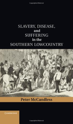 Slavery, Disease, and Suffering in the Southern Lowcountry (Cambridge Studies on the American South)