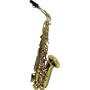 New Alto Saxophone 2005, High F# Key+case,bag&reeds