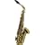 New Alto Saxophone 2007, High F# Key with Case