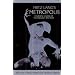 Fritz Lang's Metropolis: Cinematic Visions of Technology and Fear (Studies in German Literature Linguistics and Culture)