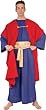 Wiseman Adult Mens Costume Christian Christianity Christmas Pagent Theatre Costumes
