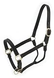 Royal King Leather Stable Halter
