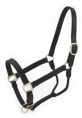 Royal King Leather Stable Halter