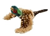 Coleman Pheasant Dog Toy