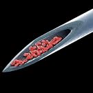 Live Blood