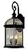 Trans Globe Lighting 44182 WH Outdoor Wentworth 26" Wall Lantern, White