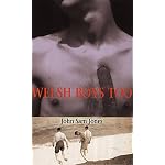 Welsh Boys Too (Parthian Shorts) book cover