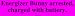 Energizer Bunny arrested, charged with battery. Bumper Sticker