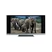 Electronics: Small picture for HITACHI 50HDT50 50