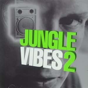 Various Artists - Jungle Vibes V.2 - Amazon.com Music