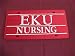 Eastern Kentucky Colonels Lp Nursing Silver