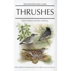 Thrushes (Helm Identification Guides)