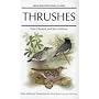 Thrushes (Helm Identification Guides)