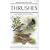 Thrushes (Helm Identification Guides)