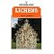 Fungi, lichen & slime moulds