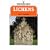 Lichens (Shire natural history)