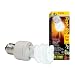 Exo Terra Repti-Glo 2.0 Compact Fluorescent Full Spectrum Terrarium Lamp, 13-Watt