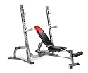 Bowflex Fold Up Olympic Bench
