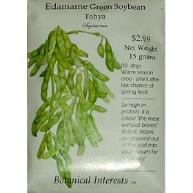 Edamame Green Soybean Seeds 50 Seeds