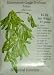 Edamame Green Soybean Seeds