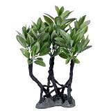 Zilla Mangroves Plant 12 inch