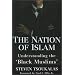 The Nation of Islam: Understanding the Black Muslims