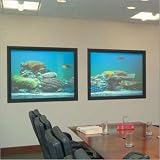Draper 125136 IRUS Rear Projection Screen with System 200 Black Frame - 92