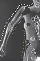 Technologies of the Gendered Body: Reading Cyborg Women