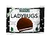 Nikki's Ladybug, Mint Singles, 1.12-Ounce Units (Pack of 24)