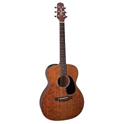 Takamine Pro Series EF740SGN OM Cedar Acoustic Electric Guitar, Satin Brown with Case