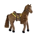 Chance Holsteiner Horse