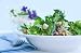 Green Salad in a White Bowl, with Flowers Behind. - 24