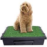 PetSafe Pet Loo Portable Pet Potty - Medium