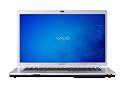 Sony VAIO VGN-FW140E/H 16.4" Laptop (2.26GHz Intel Core 2 Duo P8400 Processor, 3 GB RAM, 250 GB Hard Drive, Vista Premium) Grey