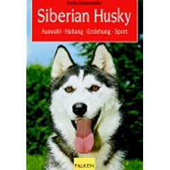Siberian Husky