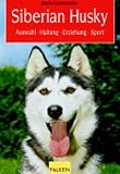 Siberian Husky