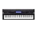 Casio WK500 76 Key Personal Keyboard with MP3/Audio Connection, 670 Tones and Power Supply