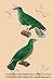 Art Poster, Tourterelle Bleu-Verdin - 18.75 x 27.5