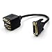 Rerii Golden Plated DVISPL1VV 1 Feet DVI-I Analog to 2x VGA Video Splitter Cable, DVI Male 24+5 to 2 VGA Female Cable Adapter - M/F