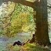 Plastic Ono Band